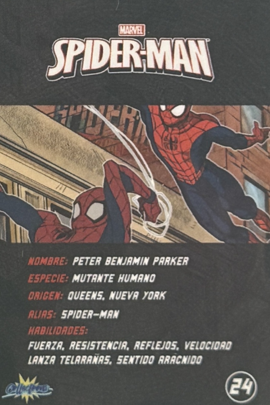 Peter Benjamin Parker / Spider-Man back artwork