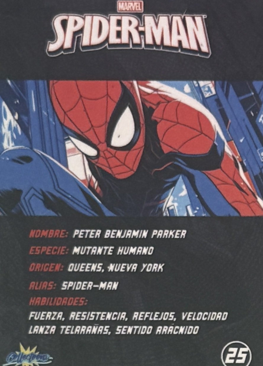 Peter Benjamin Parker / Spider-Man back artwork