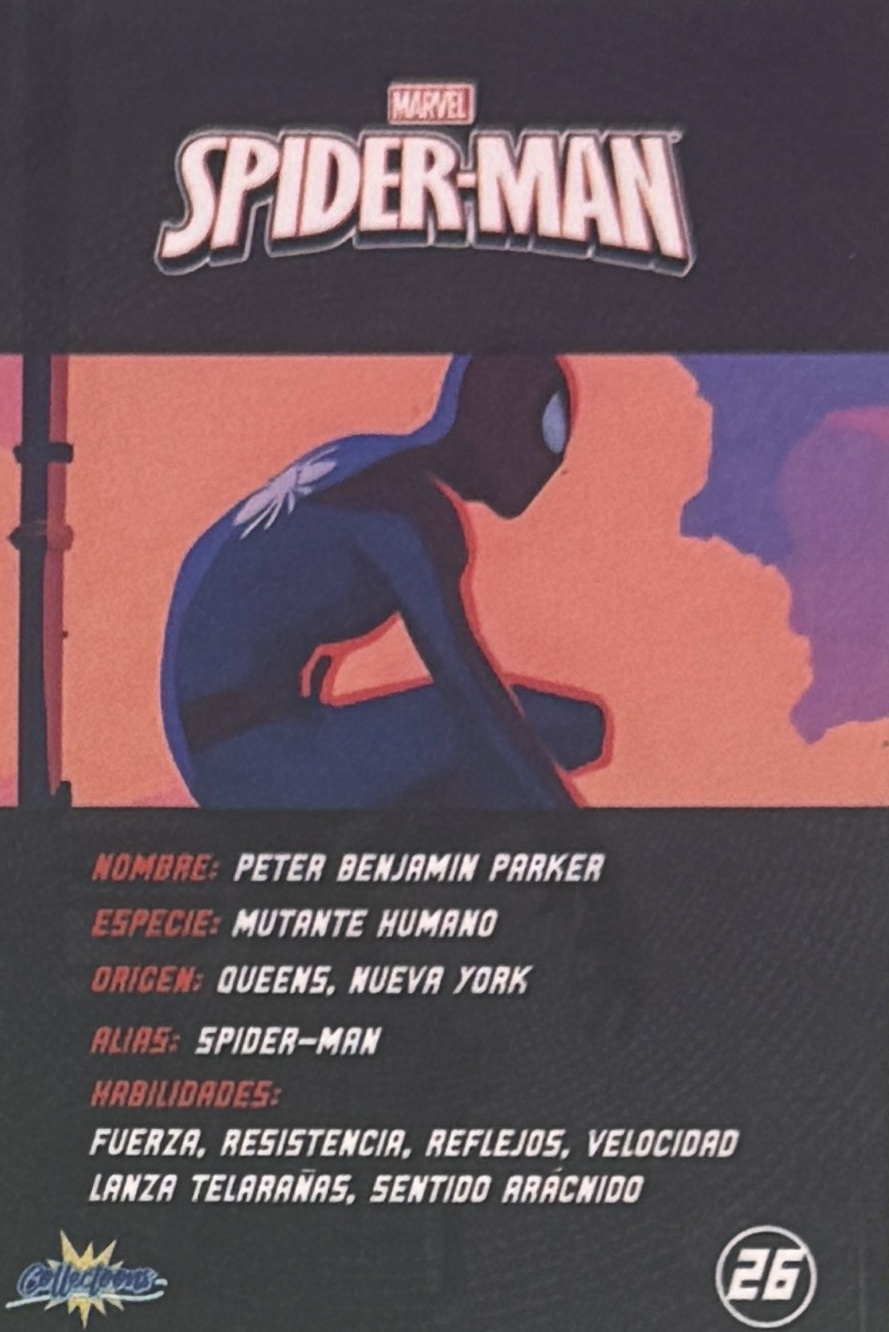 Peter Benjamin Parker / Spider-Man back artwork