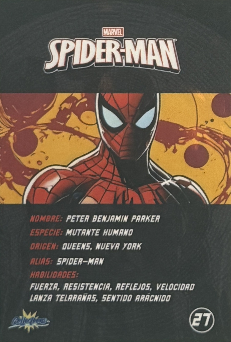 Peter Benjamin Parker / Spider-Man back artwork