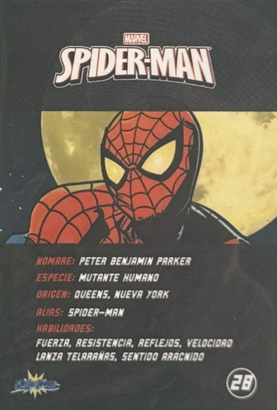 Peter Benjamin Parker / Spider-Man back artwork