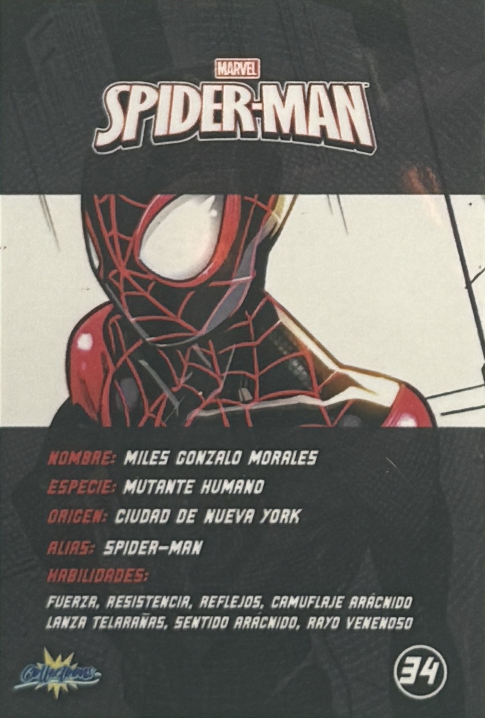 Miles Gonzalo Morales / Spider-Man back artwork