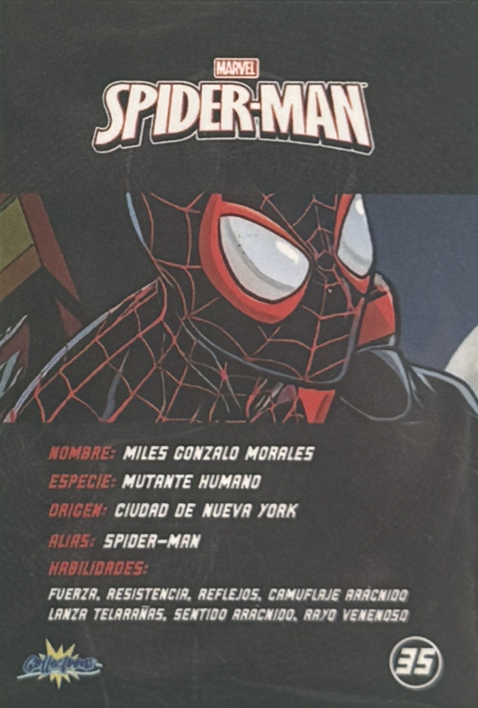 Miles Gonzalo Morales / Spider-Man back artwork