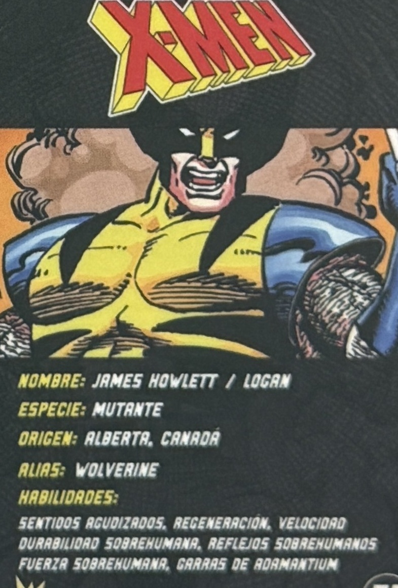 James Howlett / Logan / Wolverine back artwork