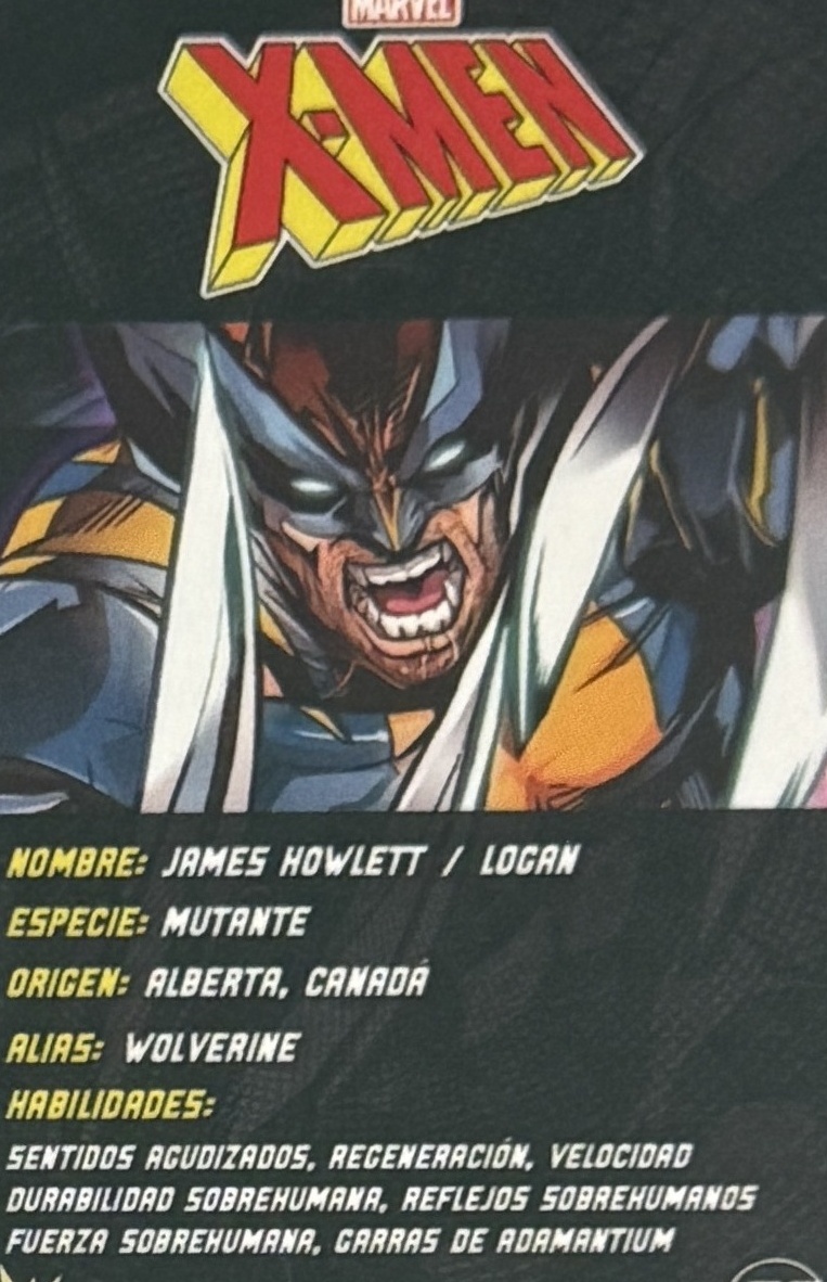 James Howlett / Logan / Wolverine back artwork