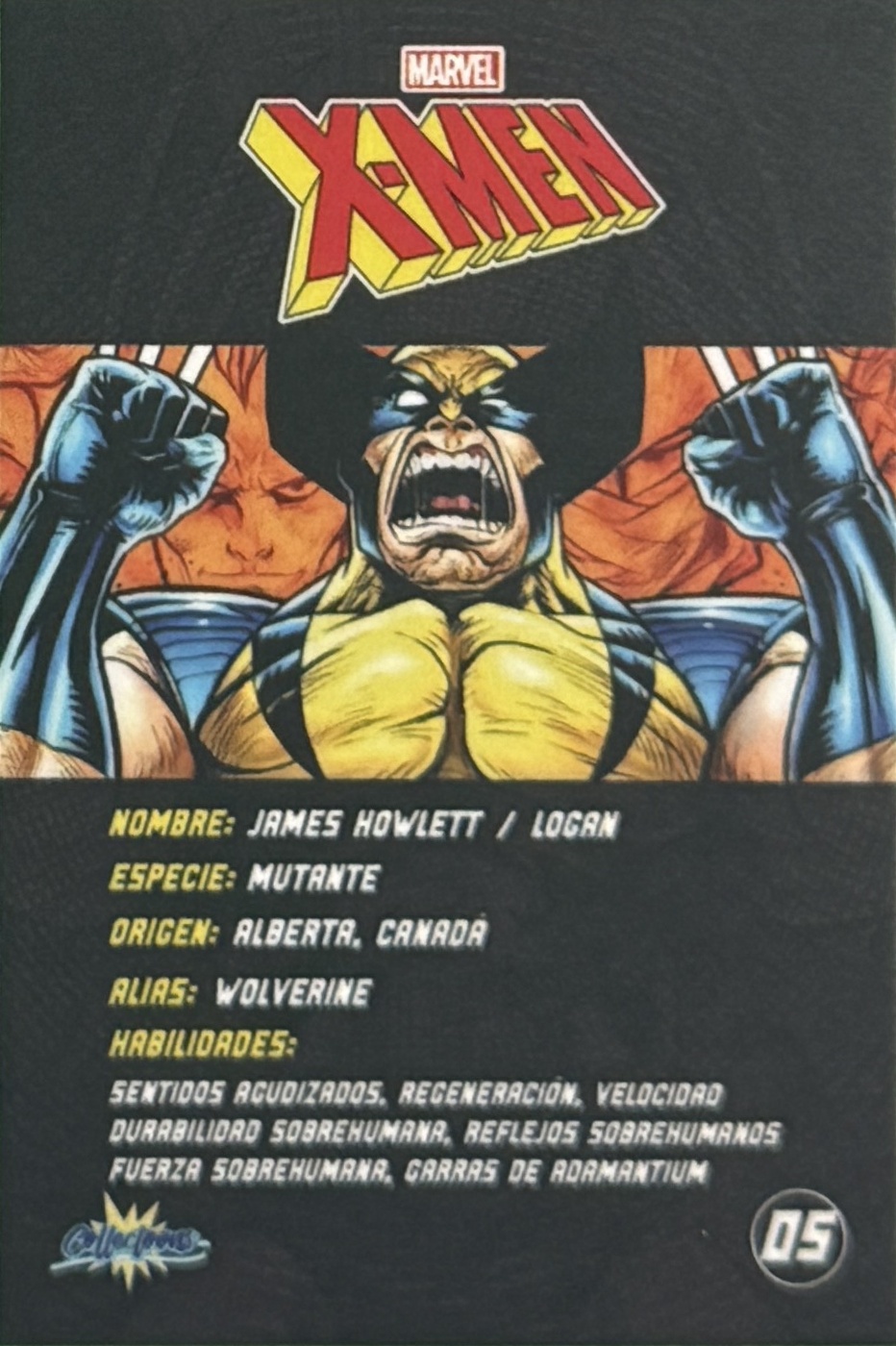James Howlett / Logan / Wolverine back artwork