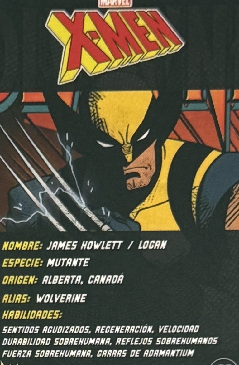 James Howlett / Logan / Wolverine back artwork