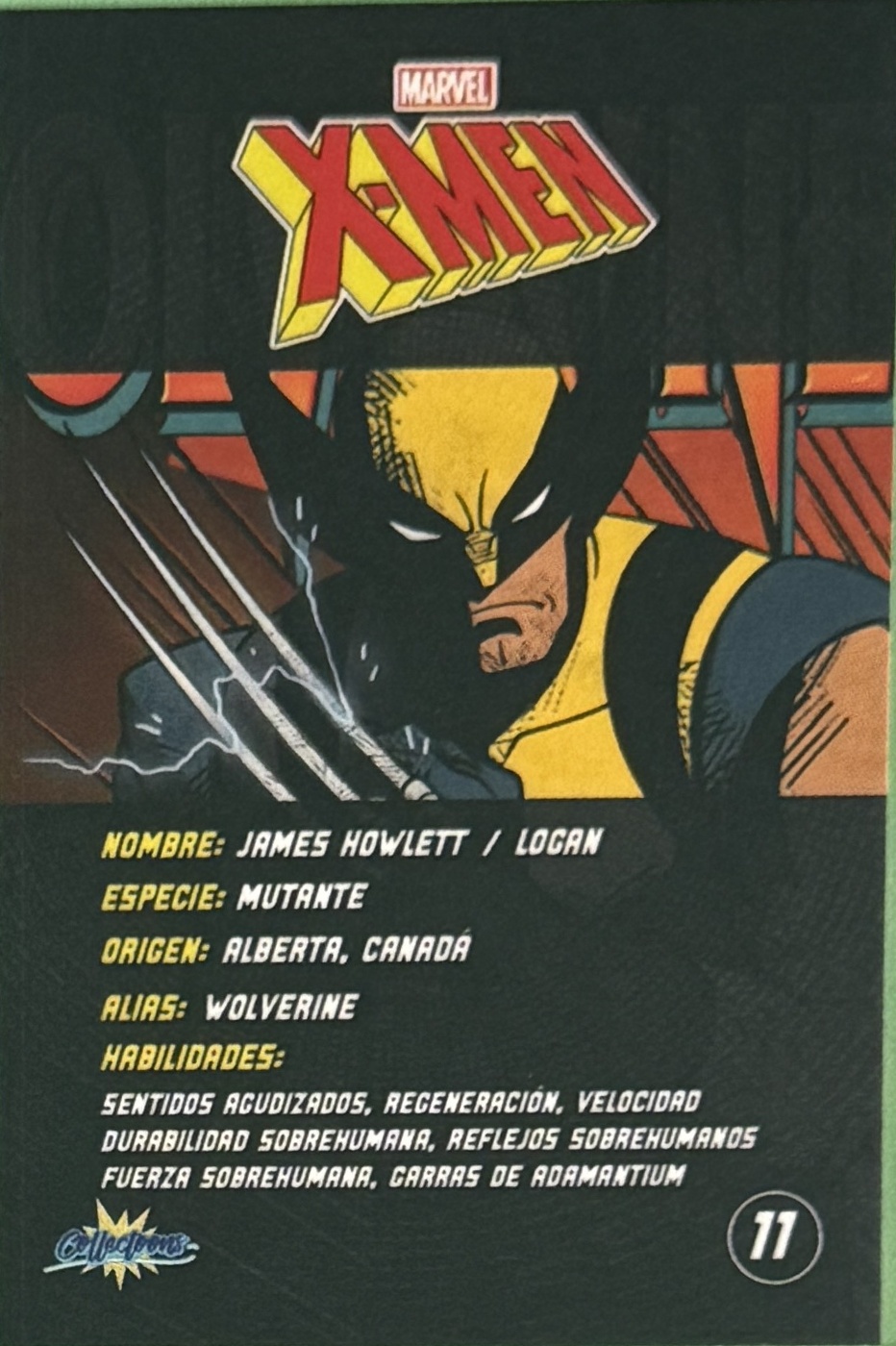 James Howlett / Logan / Wolverine back artwork