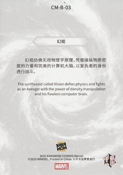 Vision back artwork