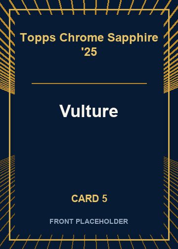 Vulture front artwork
