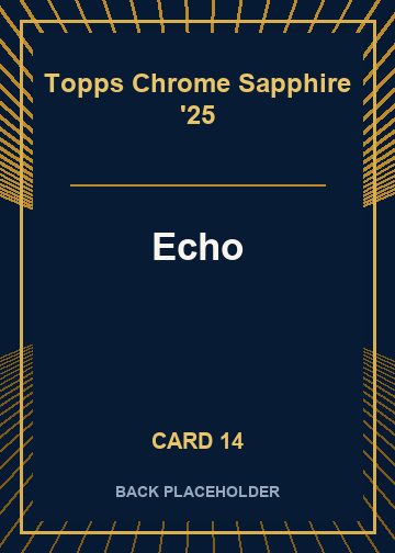 Echo back artwork