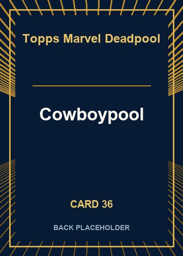 Cowboypool back artwork