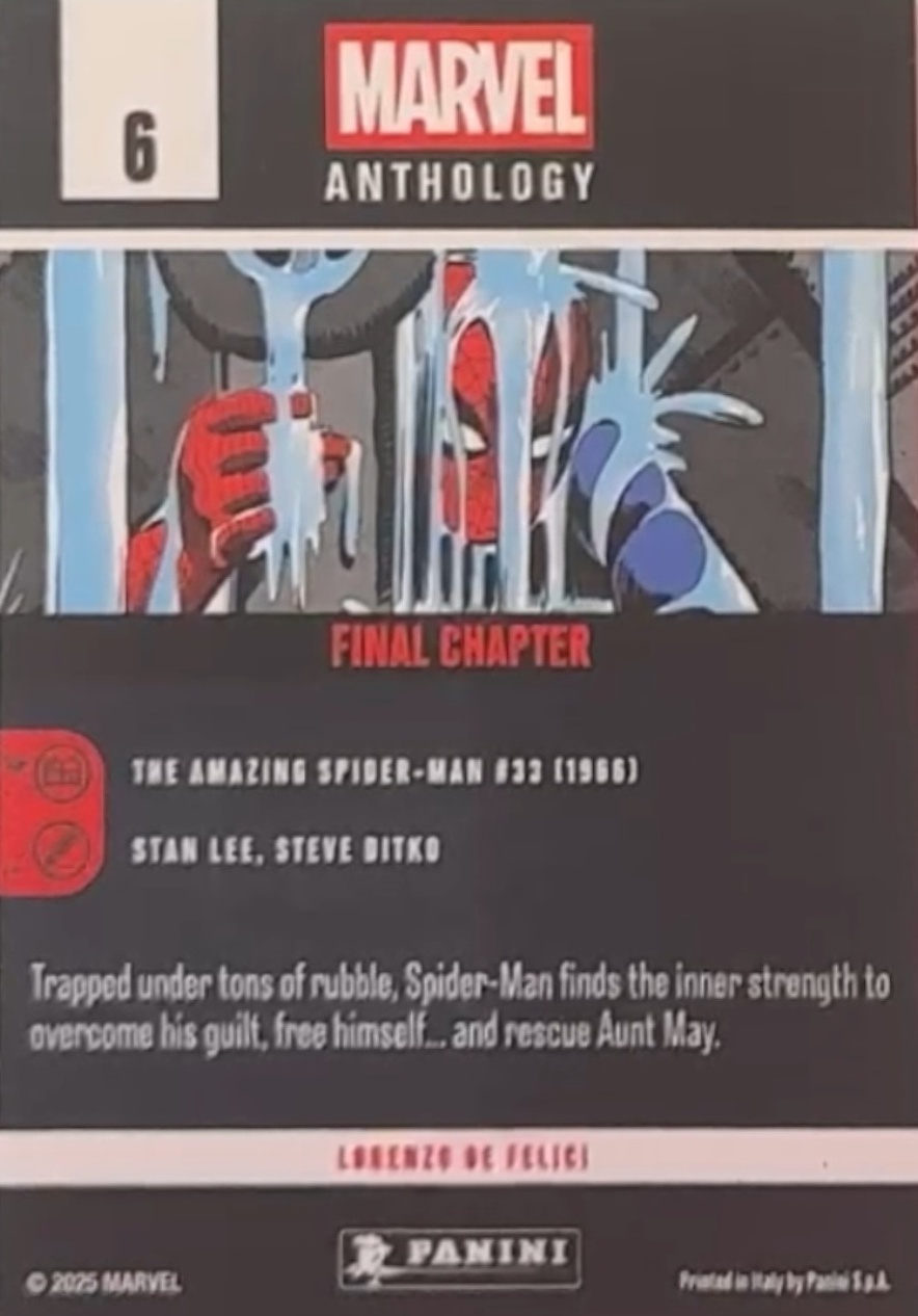 Final Chapter back artwork