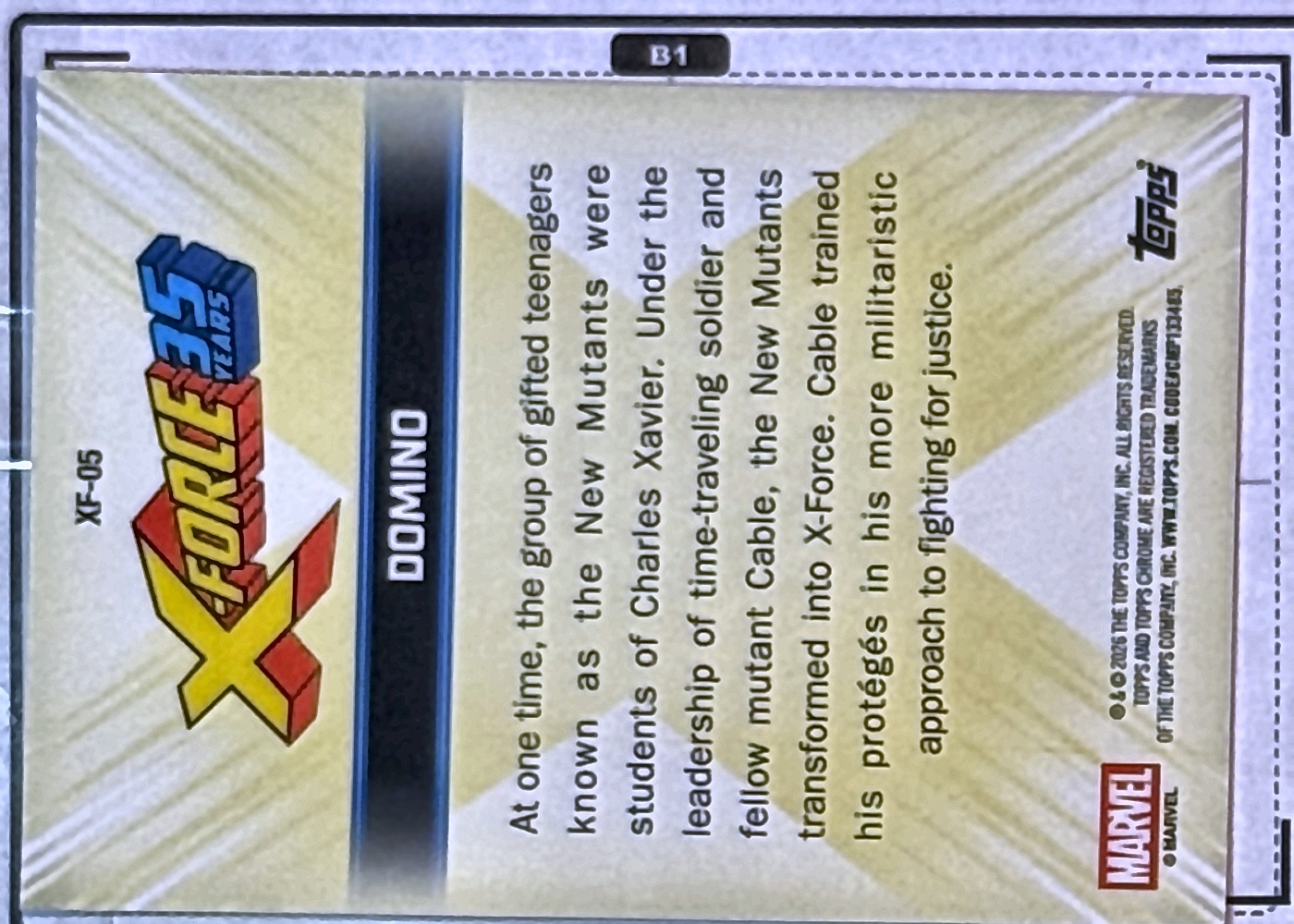 Domino back card image