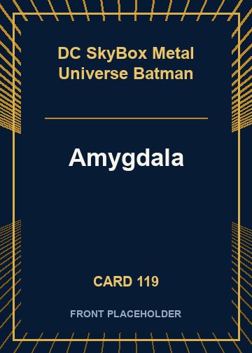 Amygdala front card image