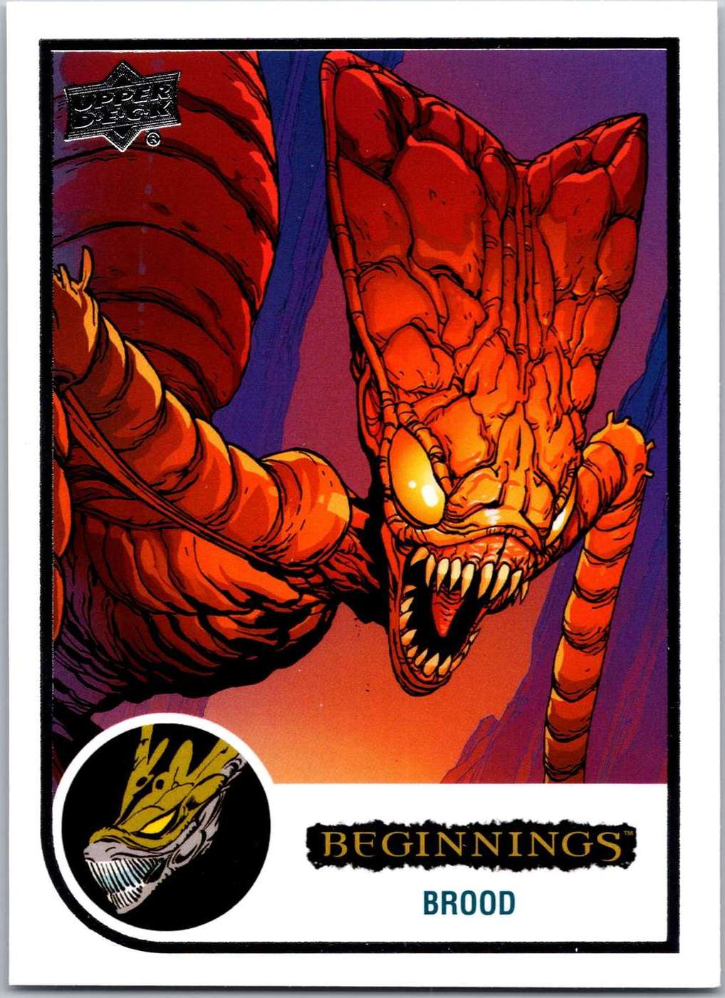 Brood front artwork