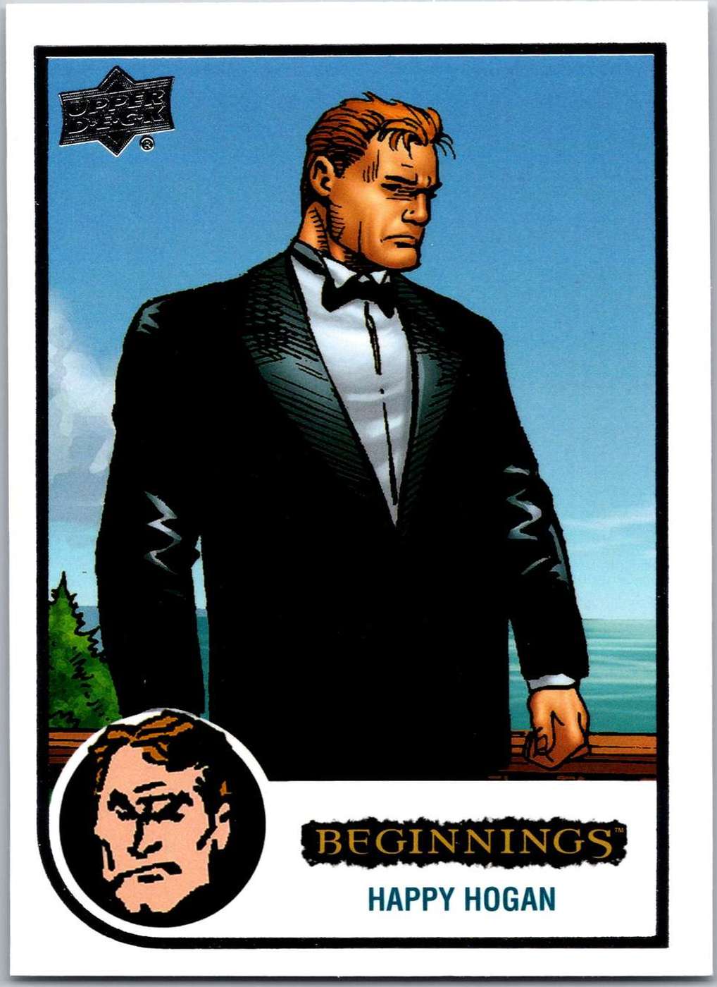Happy Hogan front artwork