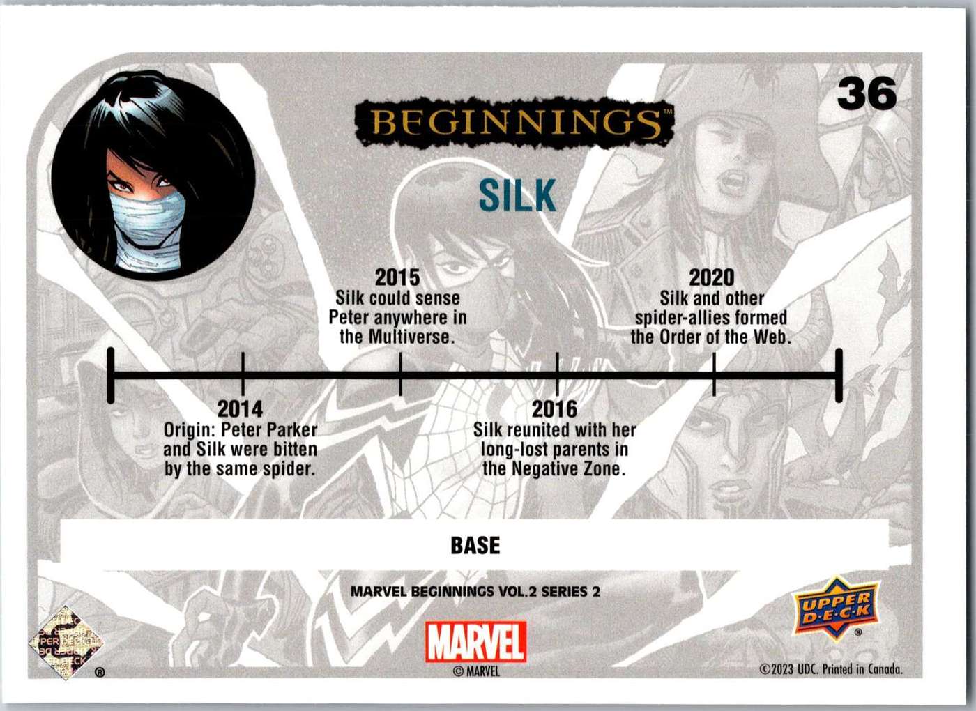 Silk back artwork
