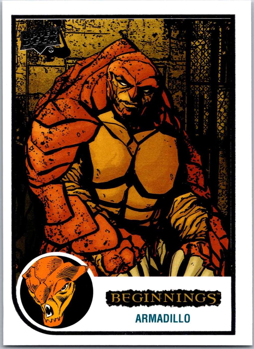 Armadillo front card image